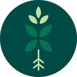 Bloom Box Club discount code